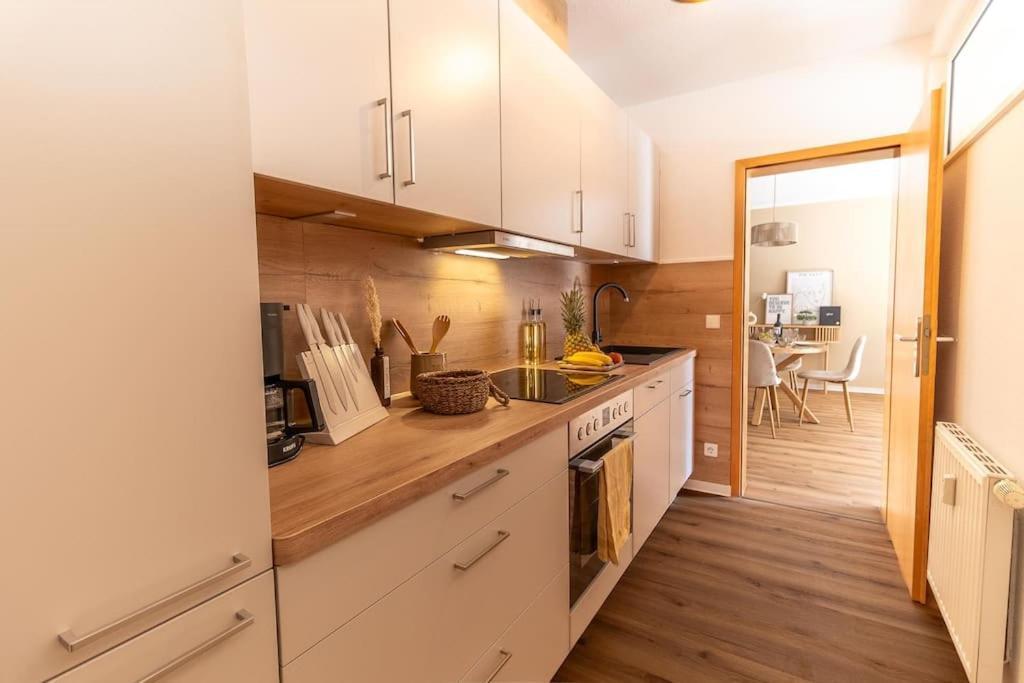 Innenstadt Appartement *Garten* Dresden Buitenkant foto